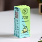 Эфирное масло «Эвкалипт», 10 мл, Богатство Аромата - Фото 3