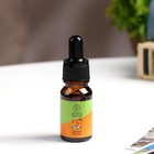 Эфирное масло «Цитрус и ваниль», с удобным дозатором, 10 мл - Фото 2