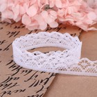 Кружево капроновое, 15 мм × 10 ± 1 м, цвет белый №1 - Фото 3