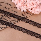 Кружево капроновое, 15 мм × 10 ± 1 м, цвет чёрный №2 - Фото 2