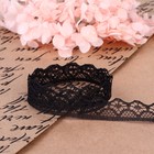 Кружево капроновое, 15 мм × 10 ± 1 м, цвет чёрный №2 - Фото 3