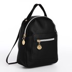 Мини-рюкзак женский из искусственной кожи на молнии, 1 карман, цвет чёрный - фото 11539242