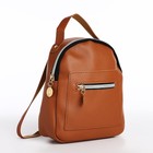 Мини-рюкзак женский из искусственной кожи на молнии, 1 карман, цвет коричневый - фото 320513247