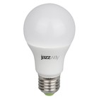 Лампа светодиодная PPG A60 Agro 15Вт A60 грушевидная матовая E27 IP20 для растений frost JazzWay 5025547 - фото 9181989