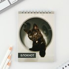 МИКС блокнотов А6, 40 л на гребне, мягкая обложка «Животные» (комплект 8 шт) - фото 23234400