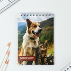 МИКС блокнотов А6, 40 л на гребне, мягкая обложка «Животные» (комплект 8 шт) - фото 23234390