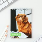 МИКС блокнотов А6, 40 л на гребне, мягкая обложка «Животные» (комплект 8 шт) - фото 23234395