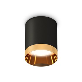 Светильник накладной Ambrella light, XS6302024, MR16 GU5.3 LED 10 Вт, цвет чёрный песок, золото жёлтое