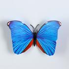 Магнит пластик "Бабочка многоцветная" МИКС 8х10 см - Фото 3