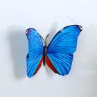 Магнит пластик "Бабочка многоцветная" МИКС 8х10 см - Фото 4