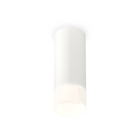 Светильник накладной с акрилом Ambrella light, XS7442016, MR16 GU5.3 LED 10 Вт, цвет белый песок, белый матовый