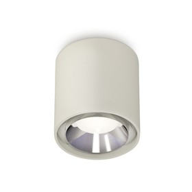 Светильник накладной Ambrella light, XS7724003, MR16 GU5.3 LED 10 Вт, цвет серый песок, серебро
