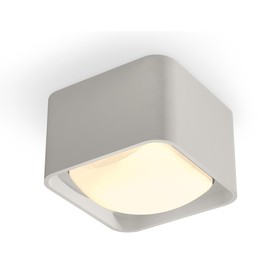 Светильник накладной с акрилом Ambrella light, XS7834011, MR16 GU5.3, GU10 LED 10 Вт, цвет серый песок, белый матовый