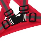 Светоотражающий ремень TORSO, с лямками, регулируемый размер, красный - Фото 3