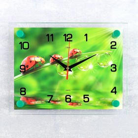 Часы-картина настенные, серия: Животный мир, "Божьи коровки", плавный ход, 20 х 26 см