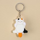 Брелок мялка для ключей «Кот» 5 х 3,8 см - Фото 4