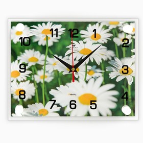 Часы-картина настенные, серия: Цветы, "Ромашки", 20х26  см