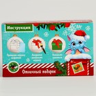 Новый год! Набор для творчества. Ёлочные шары под раскраску «Исполнения желаний», d = 7 см, 2 шт - фото 27106489