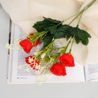 Букет "Роза кустовая люкс" 4х25 см, микс - фото 303570177