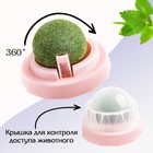 Игрушка для кошек из кошачьей мяты «Вращающийся шарик» на основании, 5×4 см, розовая - Фото 2