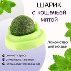 Игрушка для кошек из кошачьей мяты «Вращающийся шарик» на основании, 5×4 см, зелёная - Фото 1