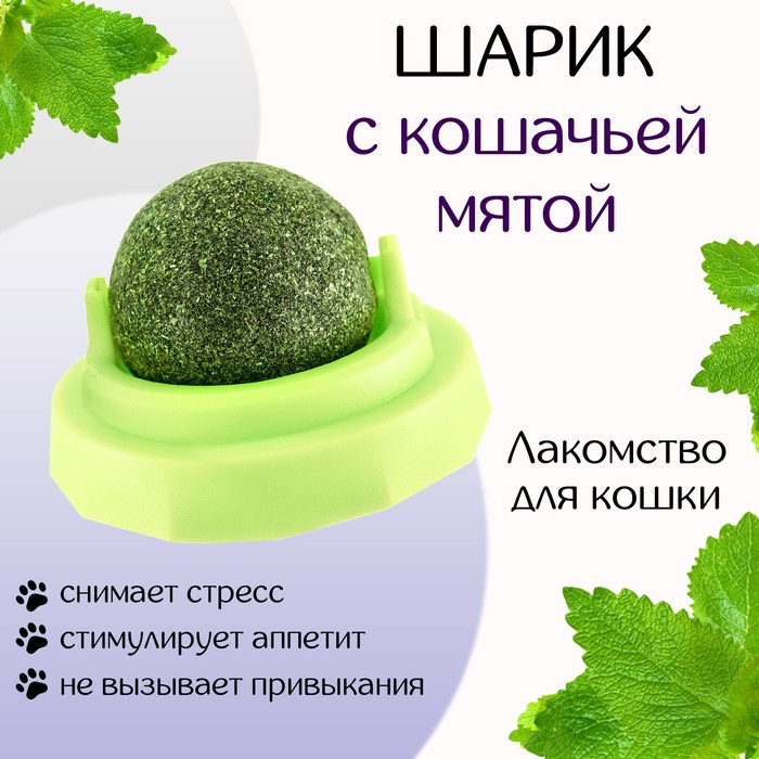 Игрушка для кошек из кошачьей мяты «Вращающийся шарик» на основании, 5×4 см, зелёная - Фото 1