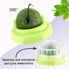 Игрушка для кошек из кошачьей мяты «Вращающийся шарик» на основании, 5×4 см, зелёная - Фото 2