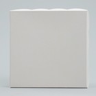 Коробка для печенья, кондитерская упаковка с PVC крышкой, «Серебристая», 13 х 13 х 3 см 9896417