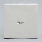 Коробка для кондитерских изделий с PVC крышкой «Счастья в новом году!», 15 х 15 х 3 см, Новый год - Фото 6