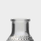 Набор баночек стеклянных для специй с пробковой крышкой Доляна «Парфе», 50 мл, 5,5×7 см, 12 шт - фото 4403777