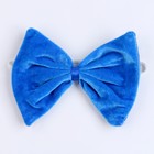 Карнавальный набор «Дракончик», 4 предмета: хвост, лапы, бабочка, ободок - фото 23235281