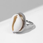 Кольцо «Ракушка» морская, цвет бежевый в серебре, безразмерное - фото 7868127