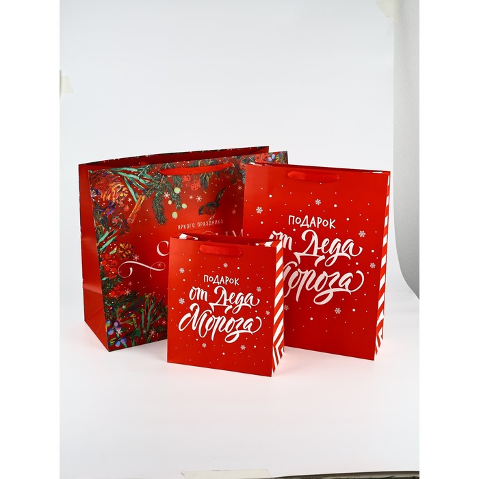 Набор новогодних пакетов «С Новым годом!»