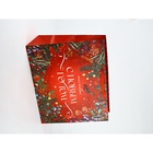 Набор новогодних пакетов «С Новым годом!» 9612137