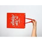 Набор новогодних пакетов «С Новым годом!» 9612137