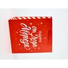 Набор новогодних пакетов «С Новым годом!» 9612137