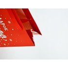 Набор новогодних пакетов «С Новым годом!» 9612137