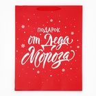 Набор новогодних пакетов «С Новым годом!» 9612137