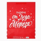 Набор новогодних пакетов «С Новым годом!» 9612137