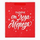 Набор новогодних пакетов «С Новым годом!» 9612137