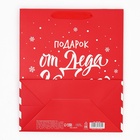 Набор новогодних пакетов «С Новым годом!» 9612137