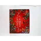 Набор новогодних пакетов «С Новым годом!» 9612137