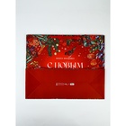 Набор новогодних пакетов «С Новым годом!» 9612137