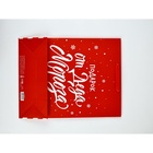 Набор новогодних пакетов «С Новым годом!» 9612137