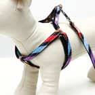 Комплект амуниции двухслойный, S, поводок 120×1 см, ОШ 24-38 ОГ 29-41 см, разноцветные полосы - Фото 2