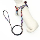 Комплект амуниции двухслойный, S, поводок 120×1 см, ОШ 24-38 ОГ 29-41 см, разноцветные полосы - Фото 3