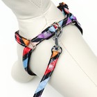 Комплект амуниции двухслойный, S, поводок 120×1 см, ОШ 24-38 ОГ 29-41 см, разноцветные полосы - Фото 4