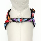 Комплект амуниции двухслойный, S, поводок 120×1 см, ОШ 24-38 ОГ 29-41 см, разноцветные полосы - Фото 5