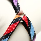 Комплект амуниции двухслойный, S, поводок 120×1 см, ОШ 24-38 ОГ 29-41 см, разноцветные полосы - Фото 7