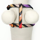 Комплект амуниции двухслойный, S, поводок 120×1 см, ОШ 24-38 ОГ 29-41 см, разноцветные полосы - Фото 8